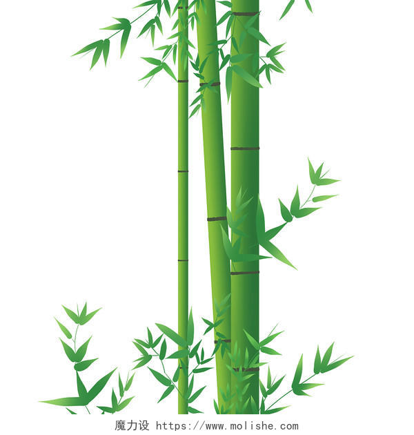 中国风手绘青竹子插画元素素材竹子中国风竹子手绘竹子
